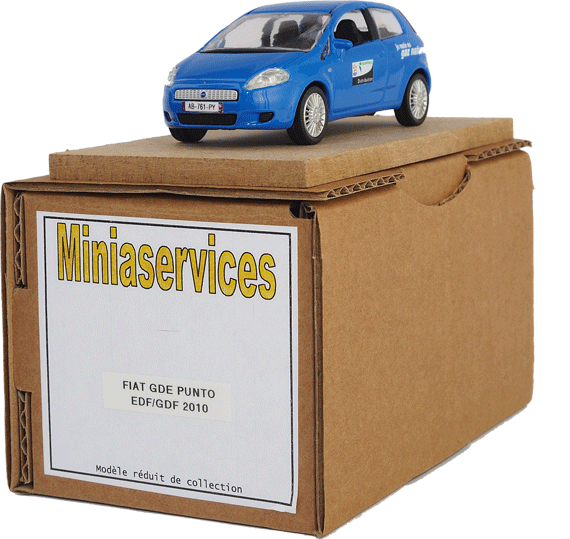 Fiat Miniaservices 2010